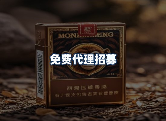 专业团队办公环境